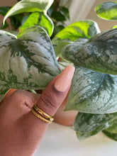 Load image into Gallery viewer, CREAMY