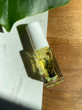 Load image into Gallery viewer, Ylang Ylang brush on cuticle oil (Amazonite)
