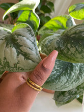 Load image into Gallery viewer, BLUSH