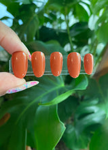 Load image into Gallery viewer, RUST