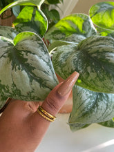 Load image into Gallery viewer, NATURAL