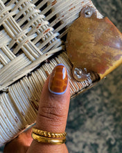 Load image into Gallery viewer, Honey lavender tortoise