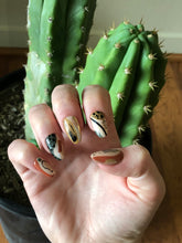 Load image into Gallery viewer, Mystery Press on Set