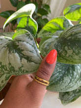 Load image into Gallery viewer, WE OUTSIDE