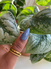 Load image into Gallery viewer, DREAMY