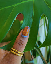 Load image into Gallery viewer, Honey lavender tortoise