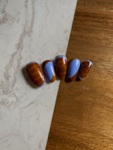 Load image into Gallery viewer, Honey lavender tortoise